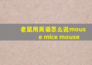 老鼠用英语怎么说mouse mice mouse